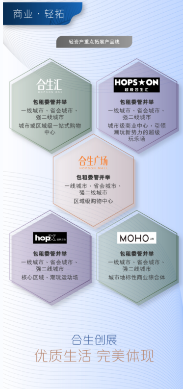 年报深度丨合生创展：核心业务保持盈利 债务规模持续缩减_中国网地产
